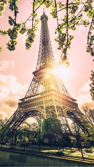 華麗歐洲｜荷比法10日(5-10月)