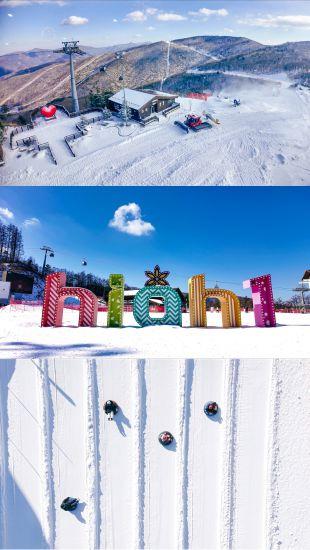 2人成行】江原道滑雪季-【GOGO Ski】5日