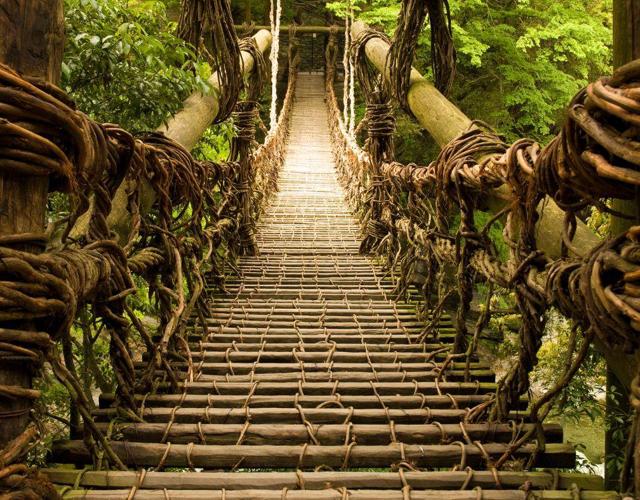 藤蔓橋