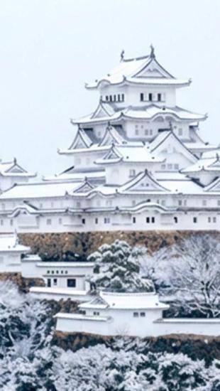 冬織兵庫．奢泊銀雪5日