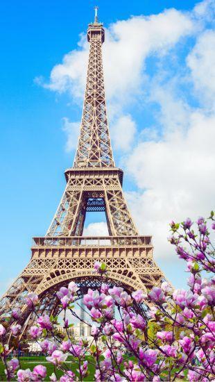 華麗歐洲｜荷比法10日(4-6月)