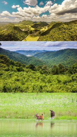 【考艾慢遊】森境林療.悠悠秘境5日.6人成行