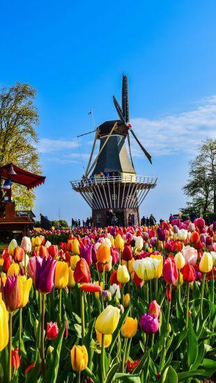 華麗歐洲｜德比荷花季10日