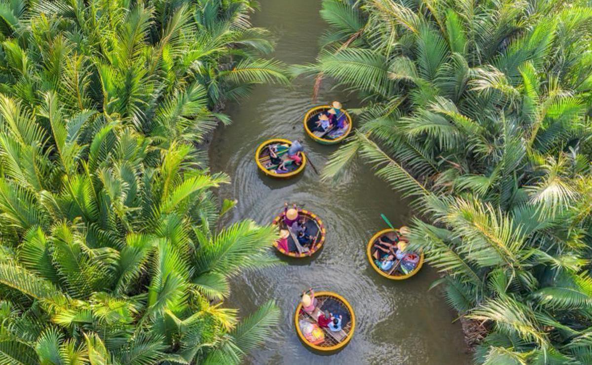迦南島的旅遊體驗:利百加帶您深入水椰林生態樂趣