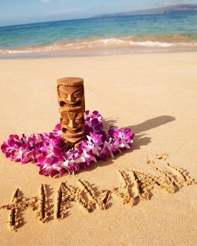 ✈️機+酒🚢郵輪|暢遊夏威夷