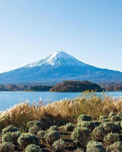 日本