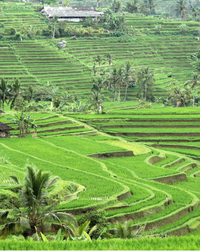 峇里島東部．小團出發