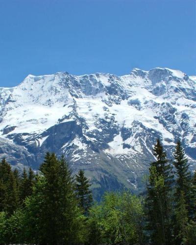 我愛旅行｜阿爾卑斯山