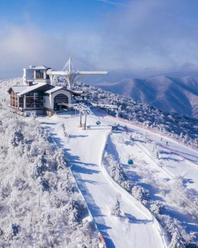 韓國．首爾．滑雪趣