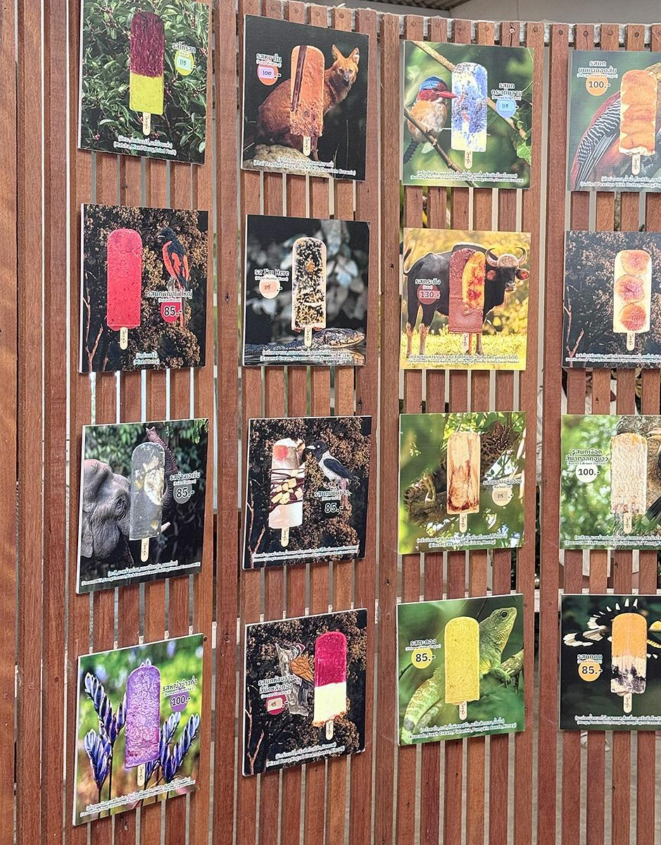 Sai Suk 野性冰淇淋