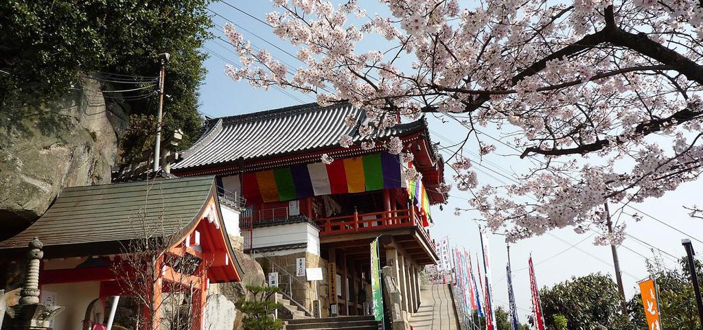 日本櫻名所百選．尾道千光寺