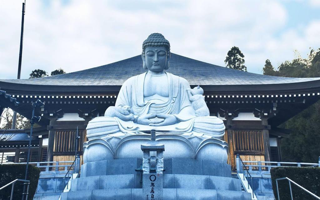 喵的聖地．御誕生寺