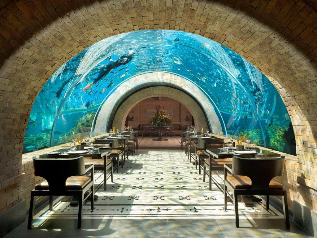 Koral 水底餐廳｜在湛藍夢境中與海洋共餐