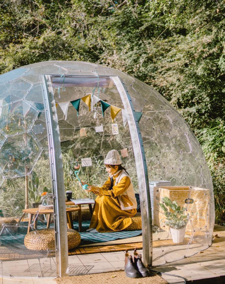 聽覺｜森林裡，那些被遺忘的聲音