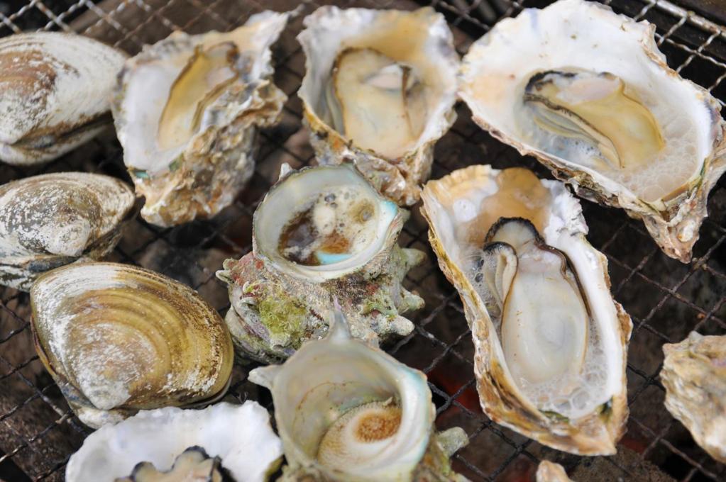 【宮島肥美牡蠣餐】大口咬下的海中牛奶