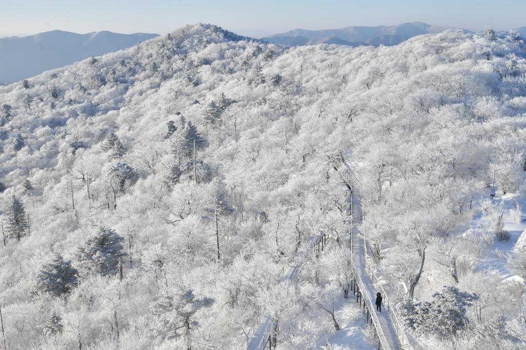 韓國歷史最悠久、規模最大的滑雪度假村