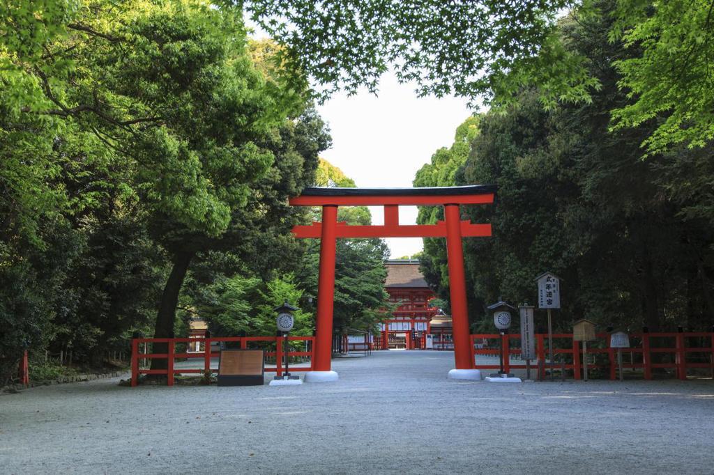 嗅覺｜在千年森林裡，大方地深呼吸