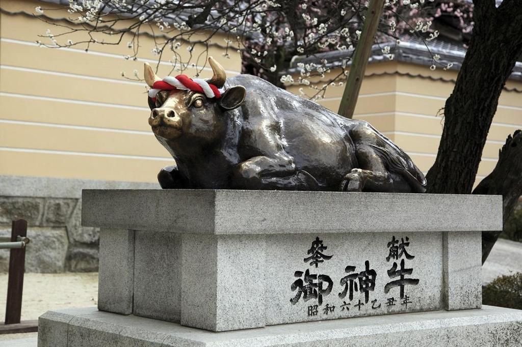【太宰府】千年信仰,星巴克美學參道