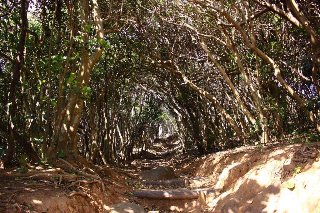 【糸島】福岡後花園,宮崎駿童話祕境