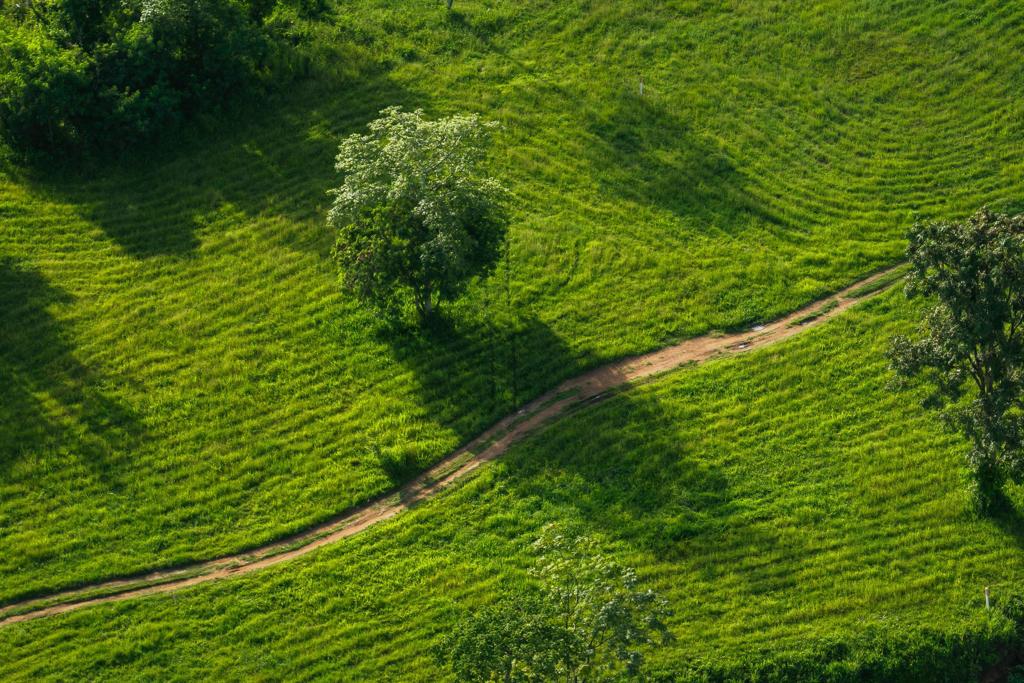 近境自然：動物出沒熱點