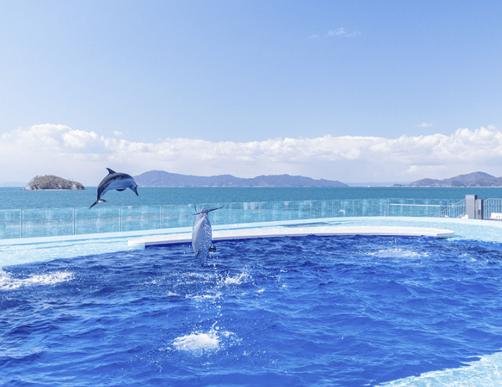 藍幻波光｜四國水族館