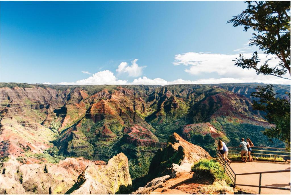 可愛島秘境│太平洋大峽谷的壯麗