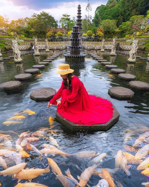 水上宮殿
魚群環繞美照連發