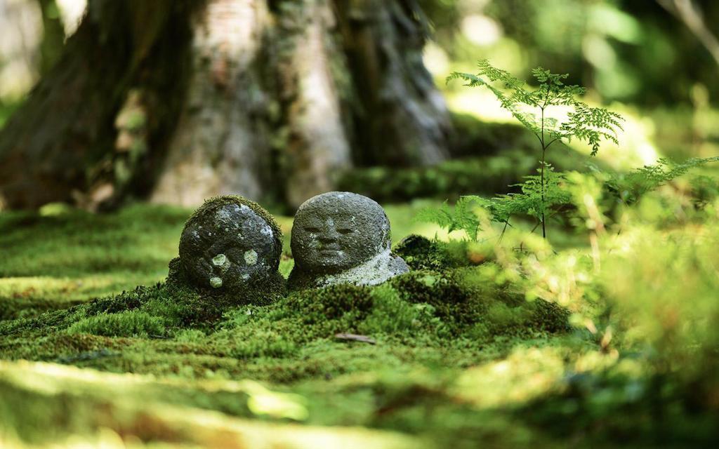 靜美庭園．三千院