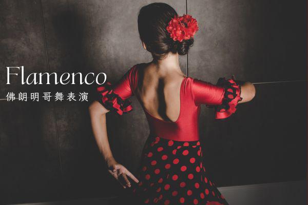 佛朗明哥舞表演 (Flamenco Show)