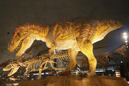世界三大傳奇．福井恐龍博物館