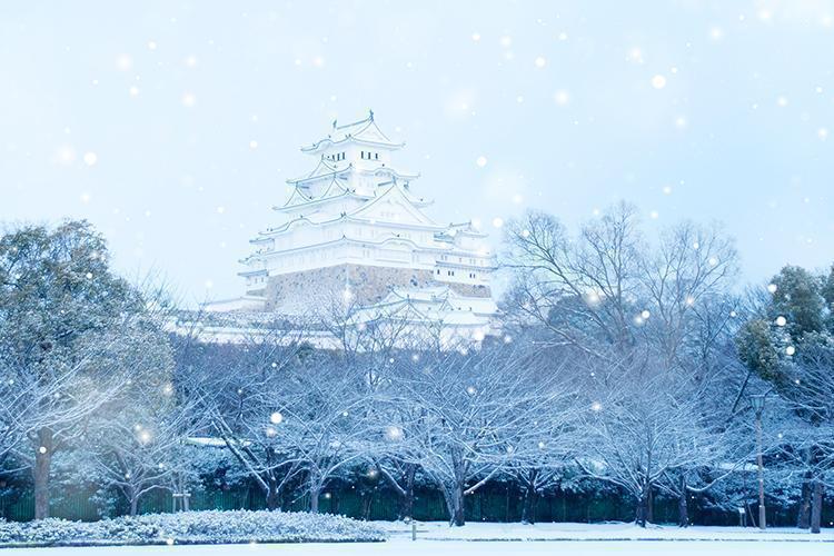 日本 |  冬旅賞雪