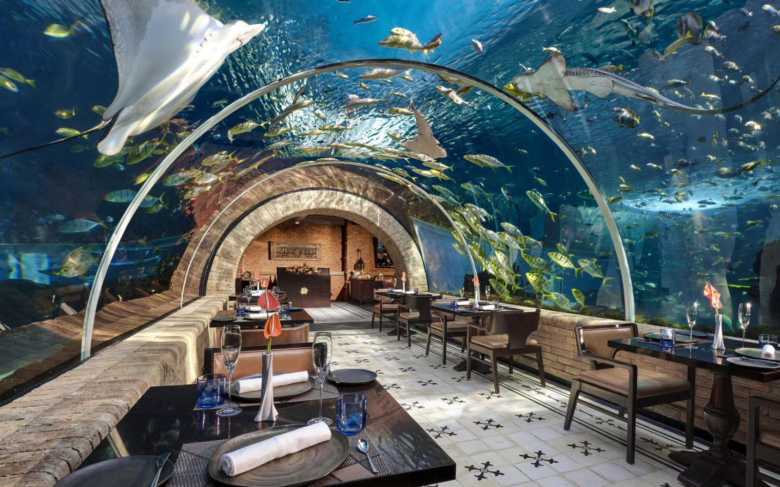 峇里島凱賓斯基 Koral 水族館餐廳