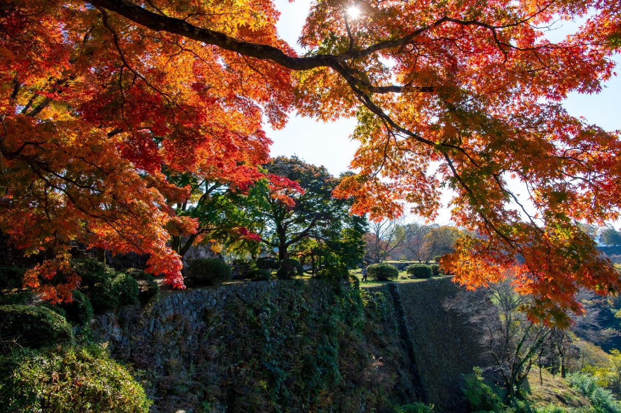 竹田岡城跡