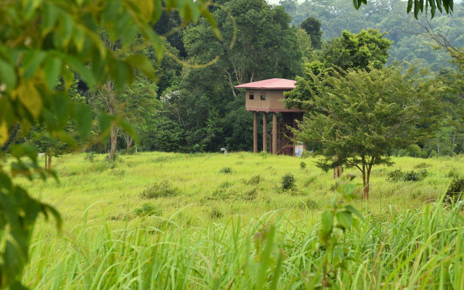 健行第 3 號步道