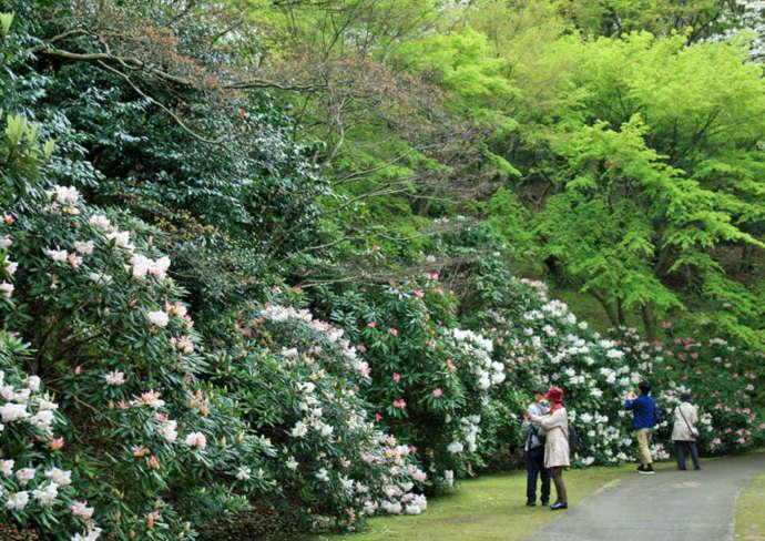 白野江植物公園