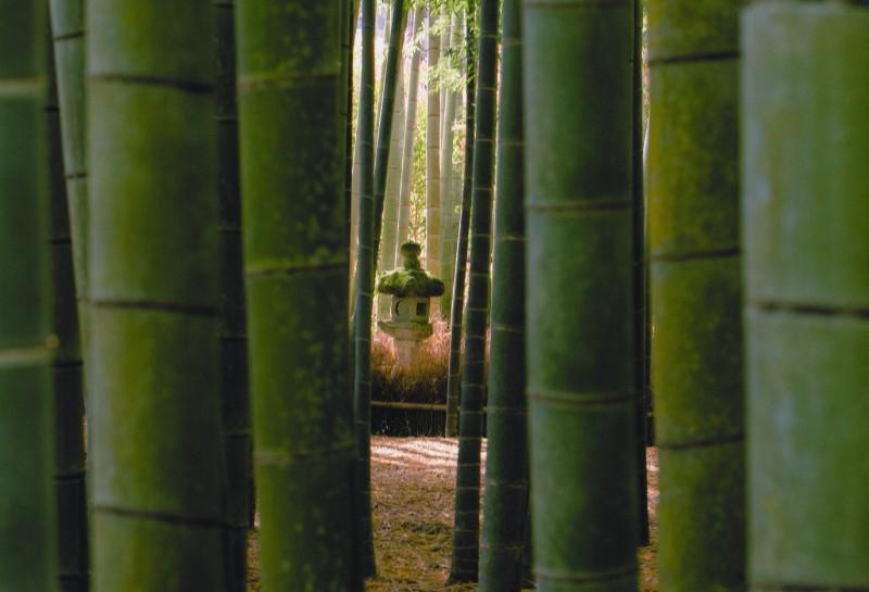 報國寺