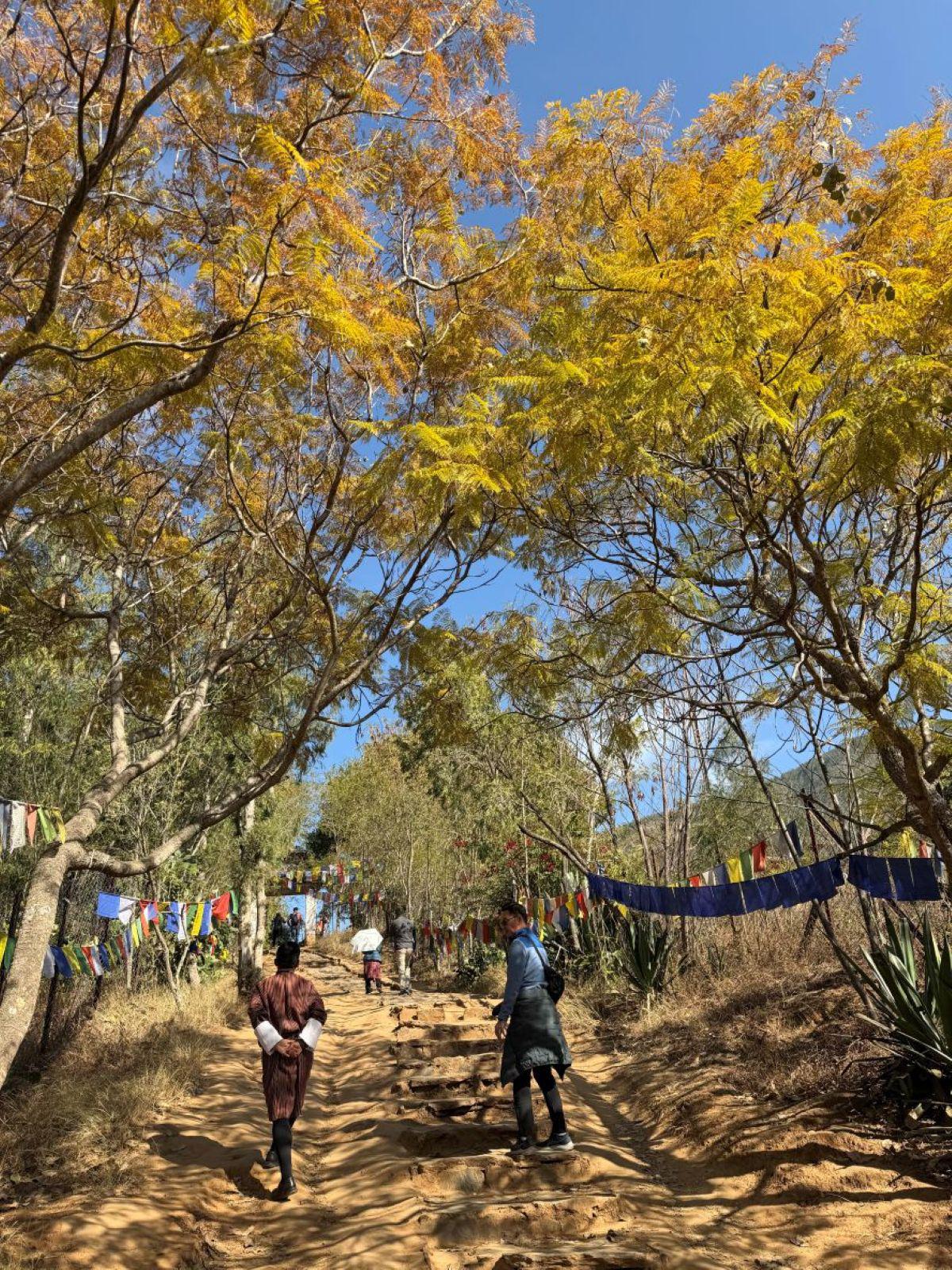 洛貝薩農村田園健行