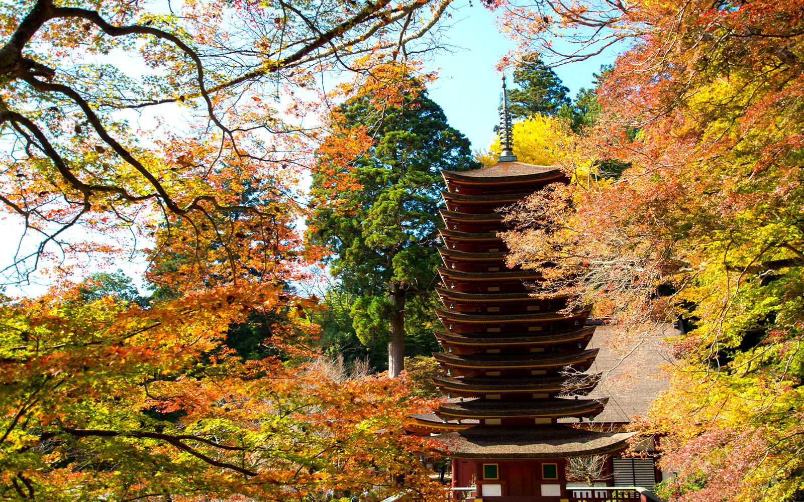 奈良.談山神社