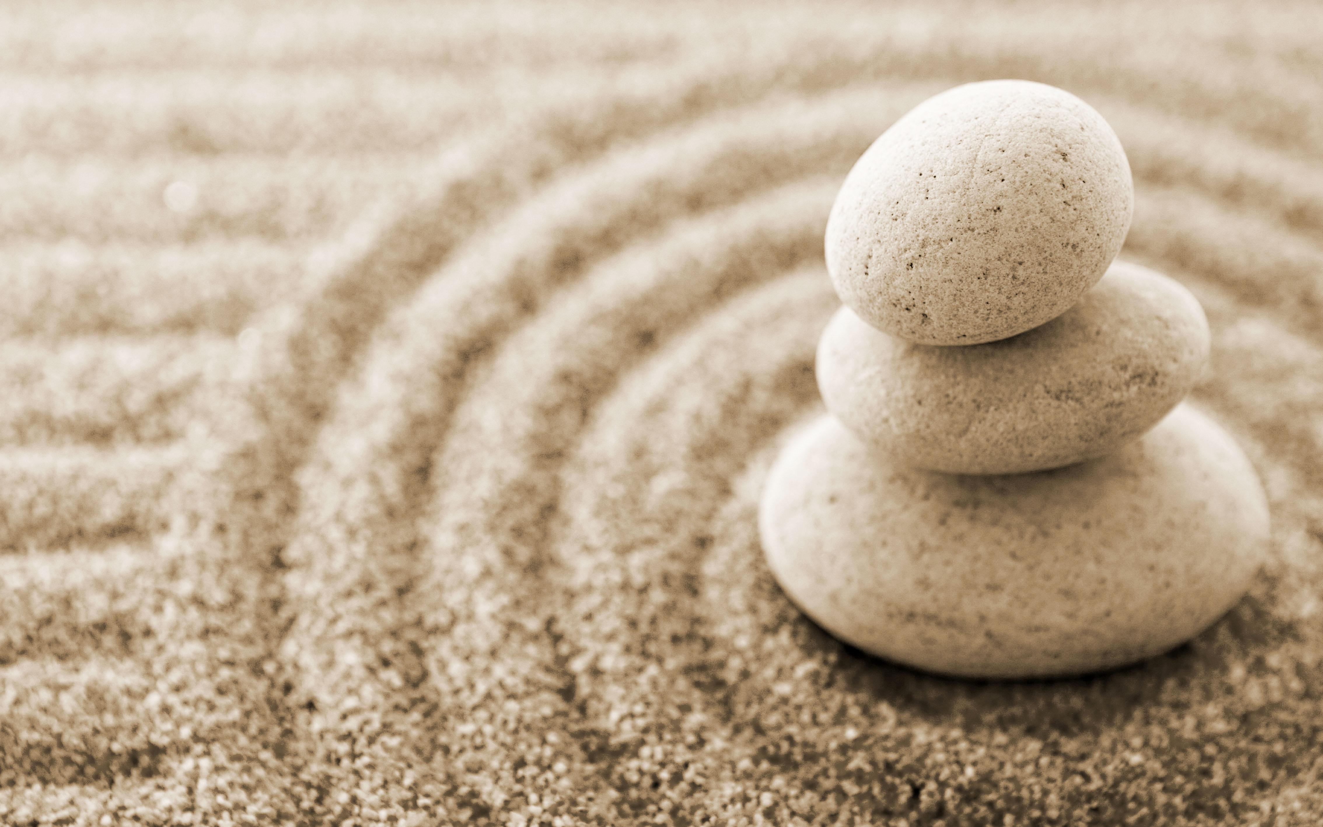 化石挖掘體験．貼心提醒