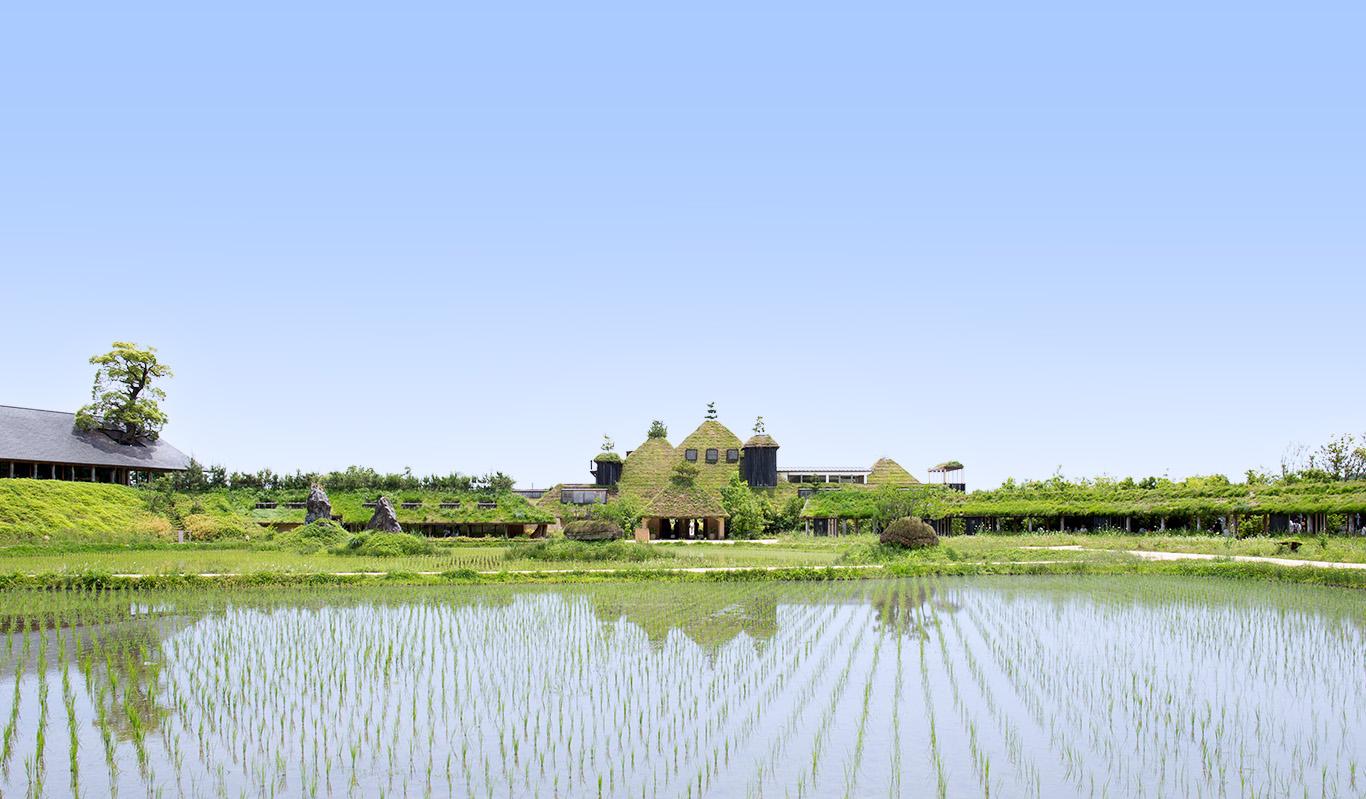 八幡烘焙小屋
