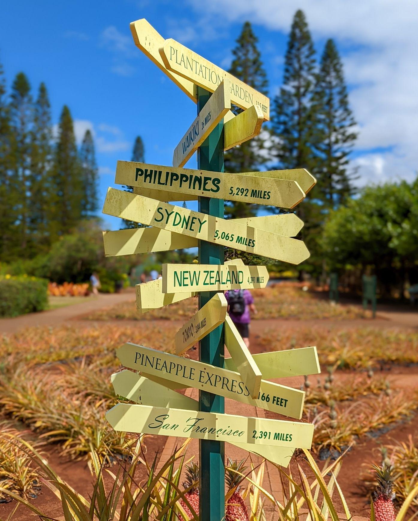 建議景點：鳳梨園