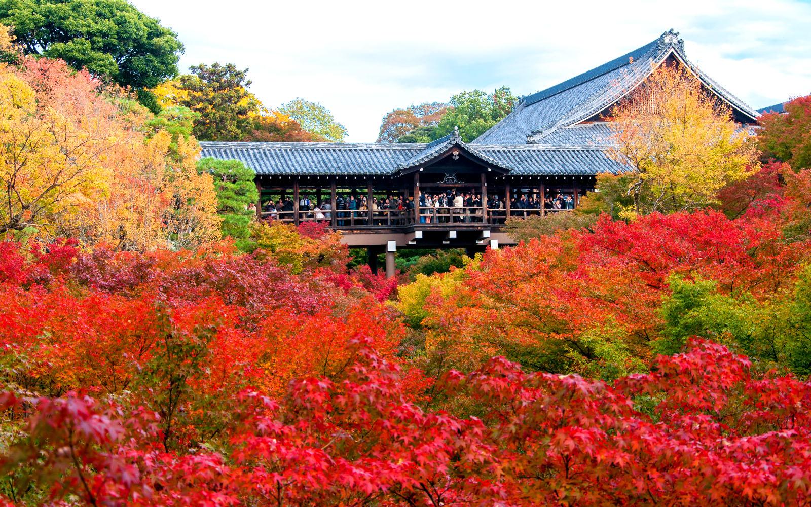 東福寺