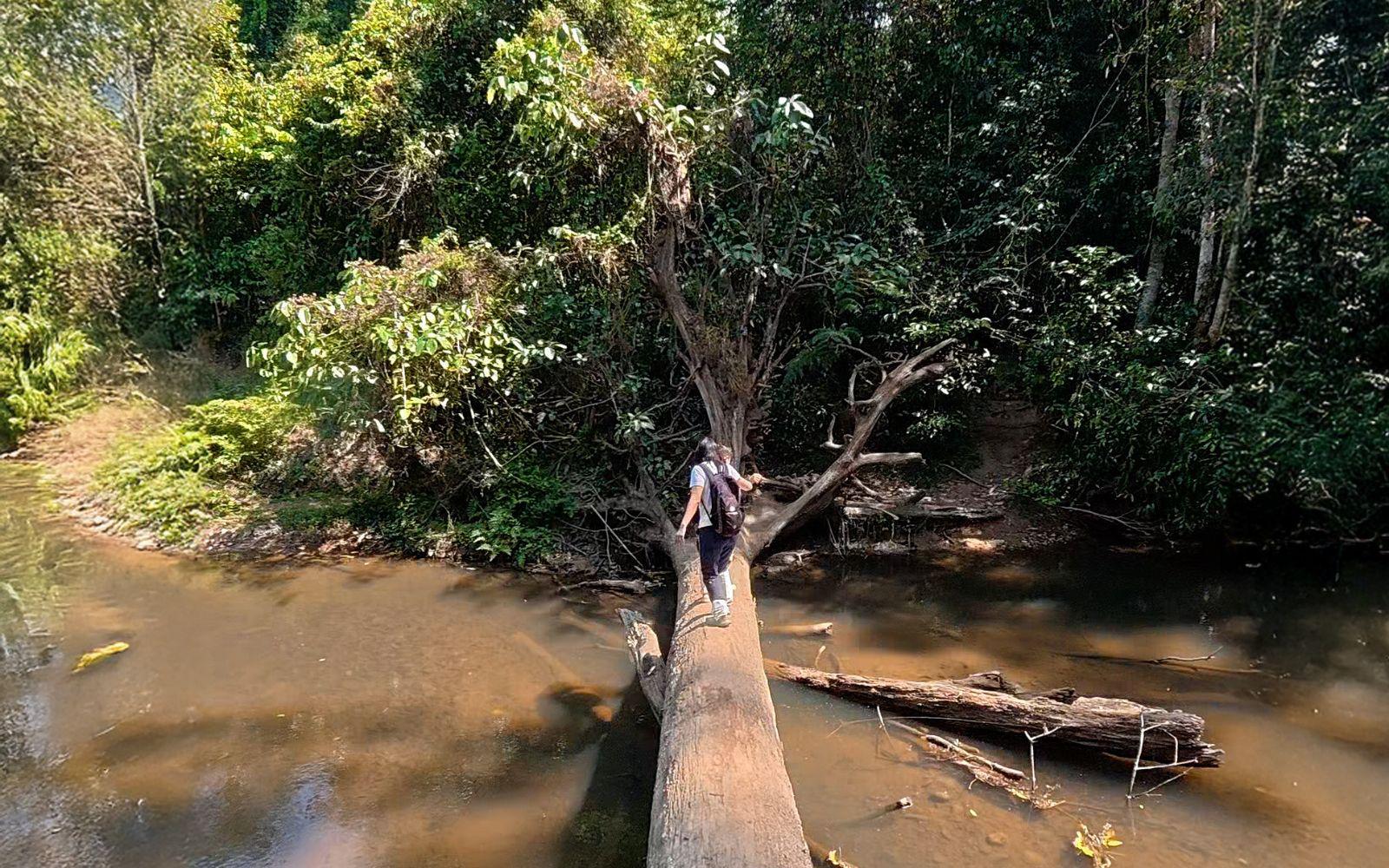 健行第 5 號步道