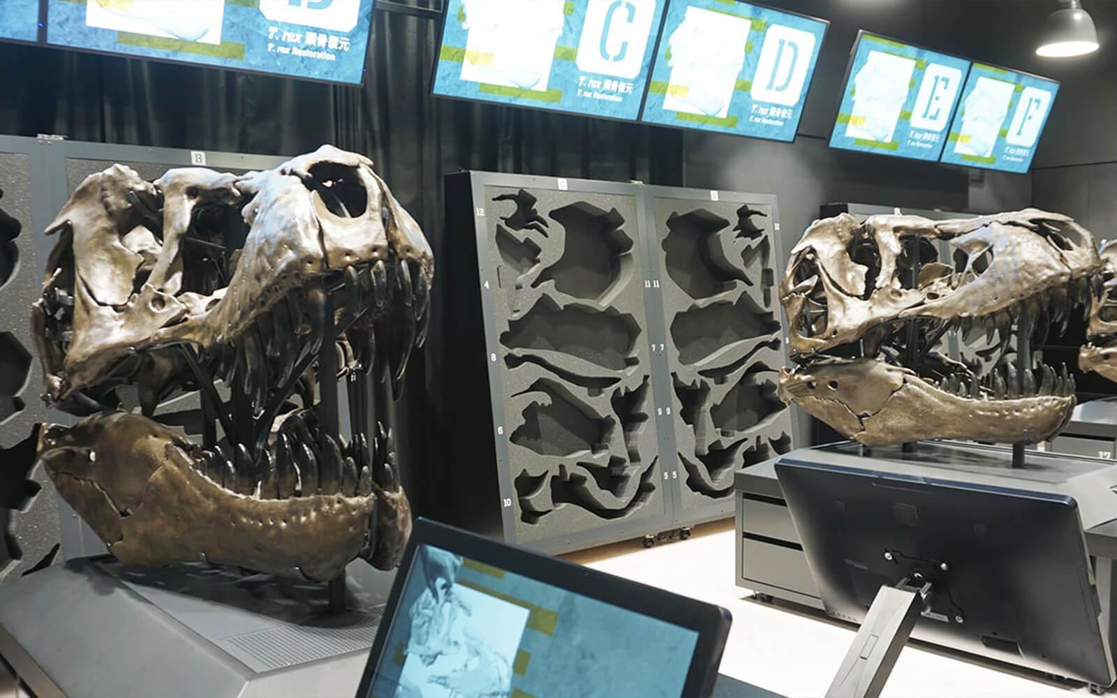 福井．恐龍博物館