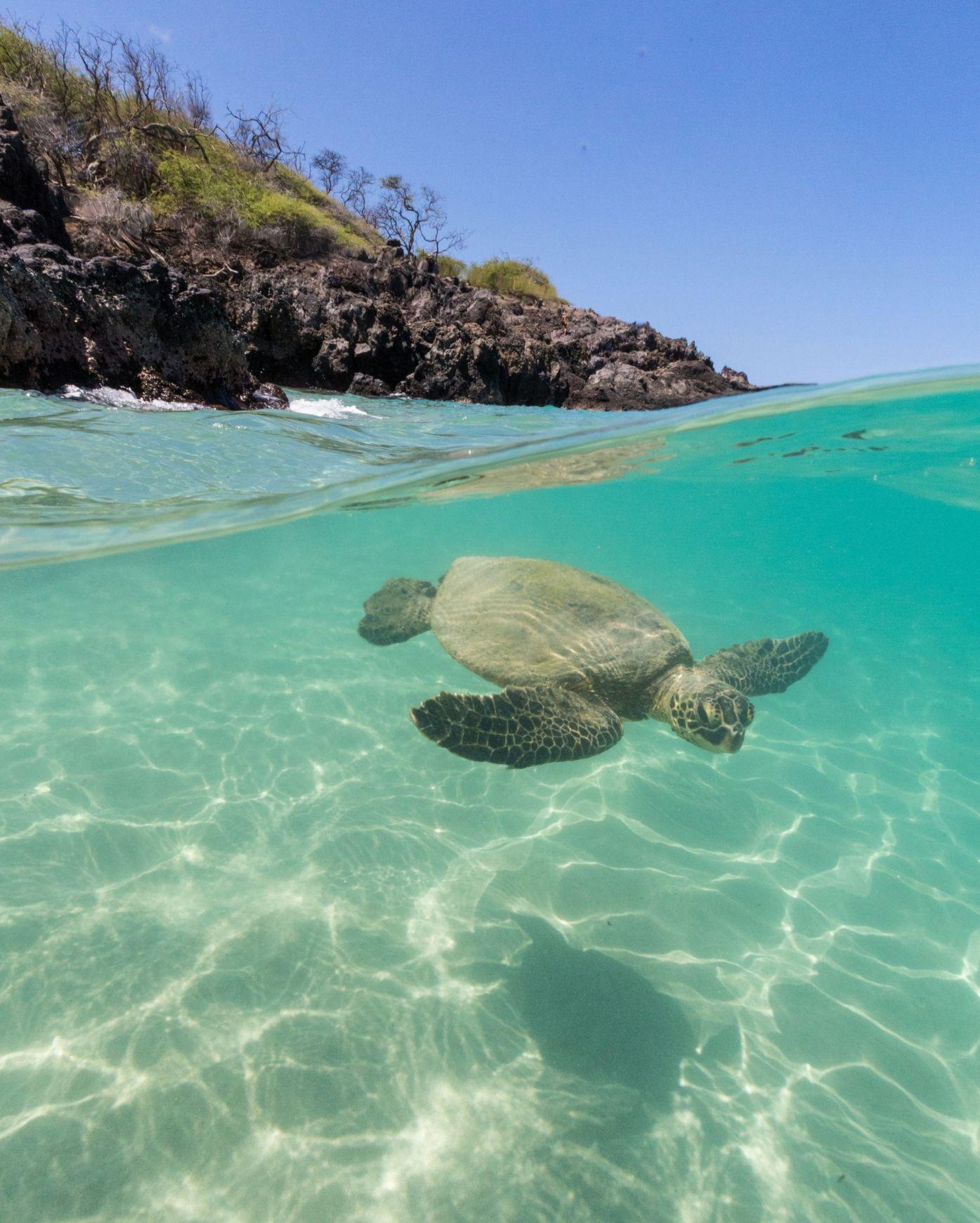 建議景點：哈雷依瓦小鎮