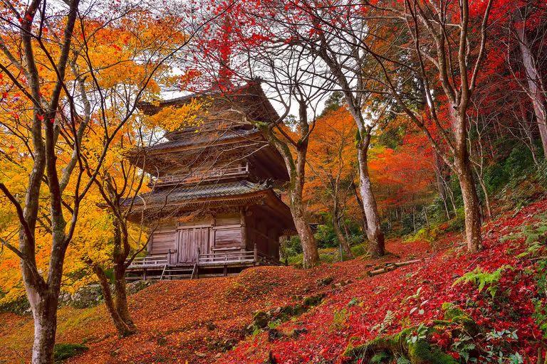 丹波紅葉三山．高源寺