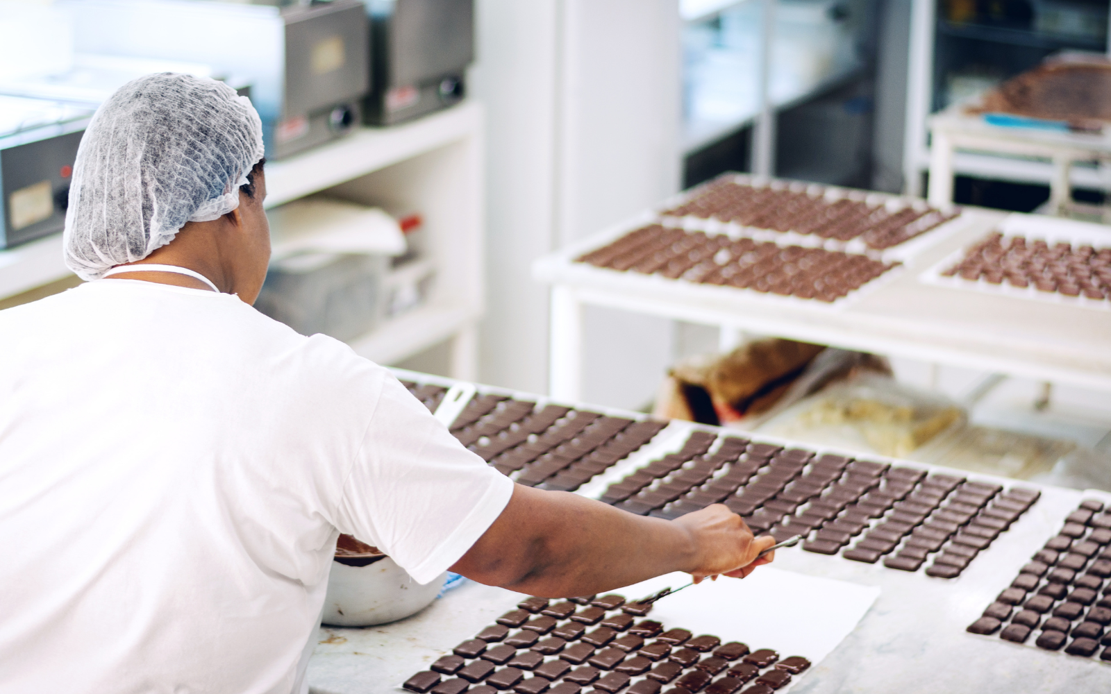 Jungle gold Chocolate Factory