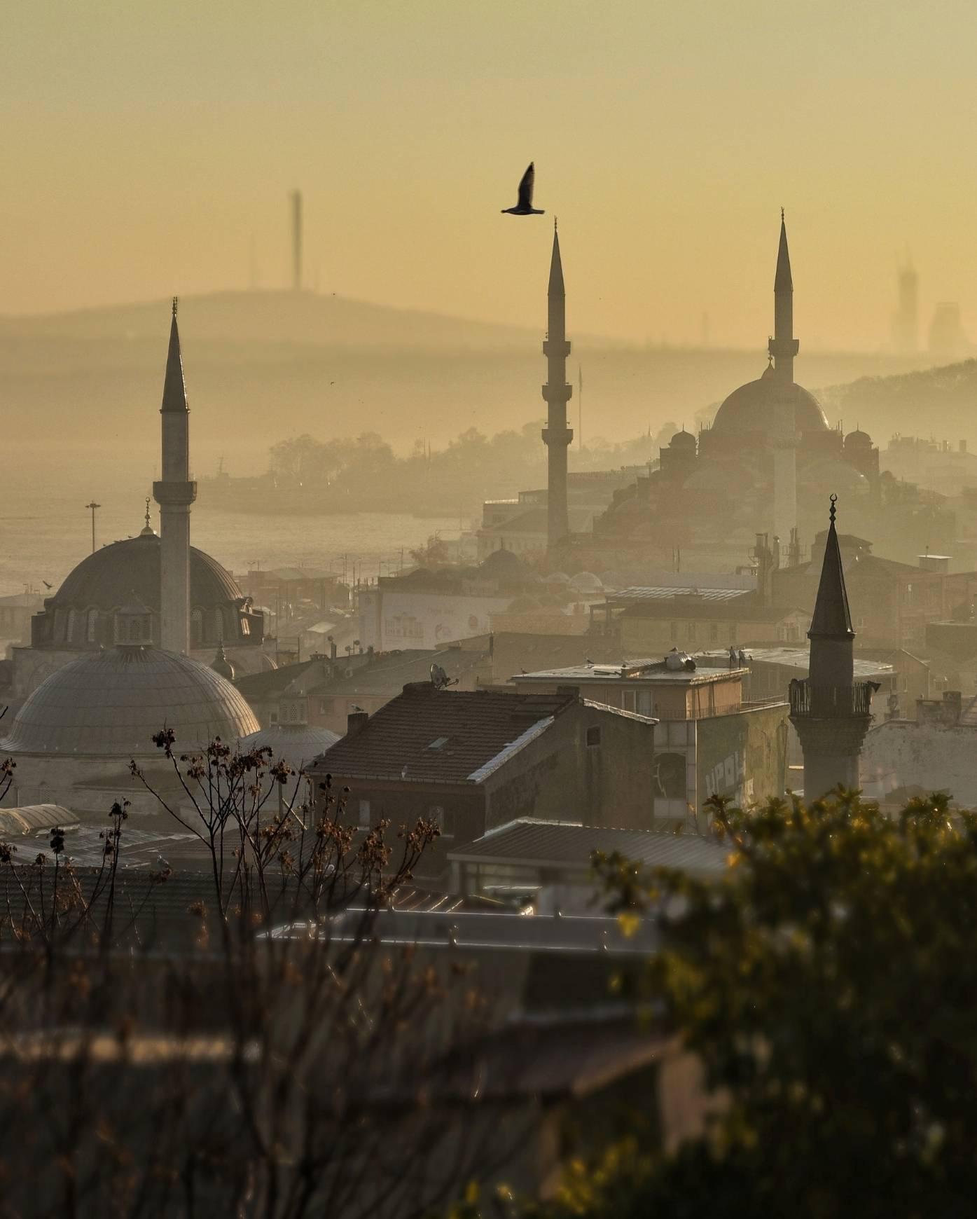 伊斯坦堡市區觀光 Istanbul City Tours