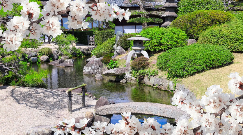 岡山後樂園