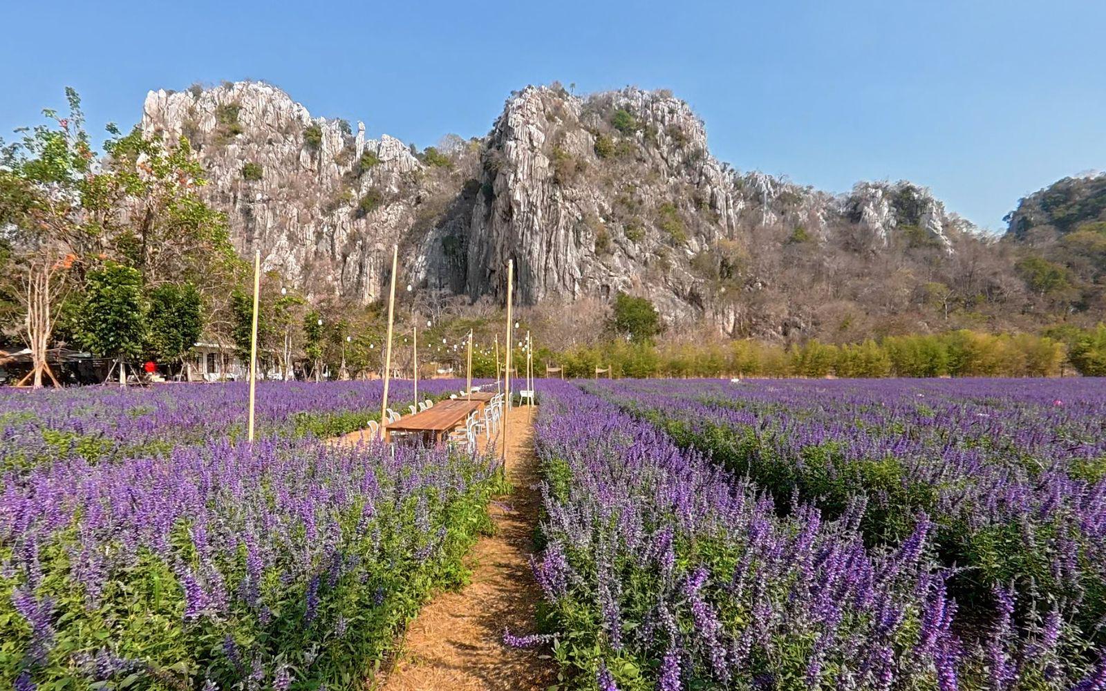 The Soul Resort 享用套餐